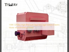 Motores de jaula de ardilla de alta presión YXKK 1250kw Motor eléctrico Motor asíncrono