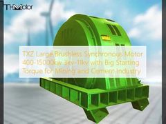 TXZ Gran motor síncrono sin escobillas 400-15000kw 3kv-11kv con gran par de arranque para la industria minera y del cemento