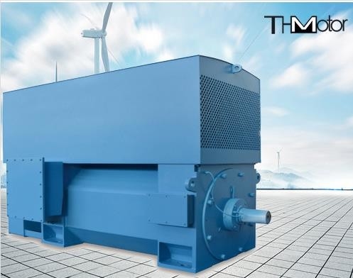 400 a los motores de inducción eléctrica de alto voltaje del motor de CA 6000kw IP23