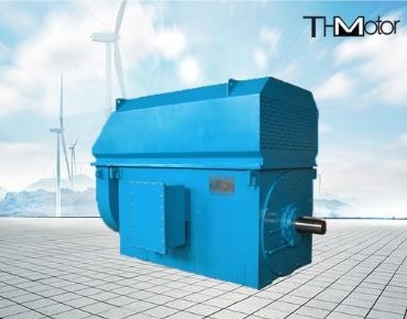 IP23 100rpm de poco ruido ahorro de energía 3000rpm a los motores eléctricos de alto voltaje 50Hz 10KV