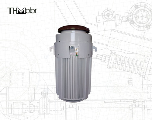 IE2 0-40C Motores de aplicaciones especiales de 600 V 600 CV para el rango de temperatura