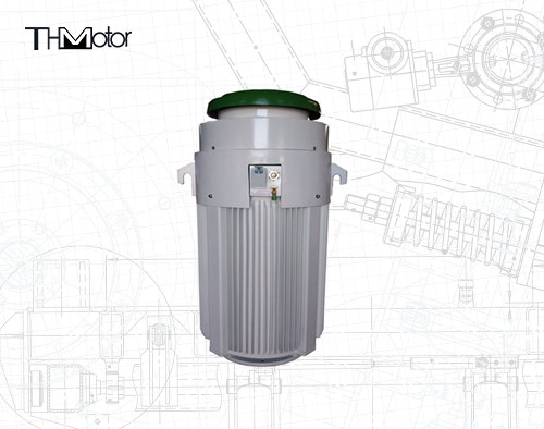 IE2 0-40C Motores de aplicaciones especiales de 600 V 600 CV para el rango de temperatura