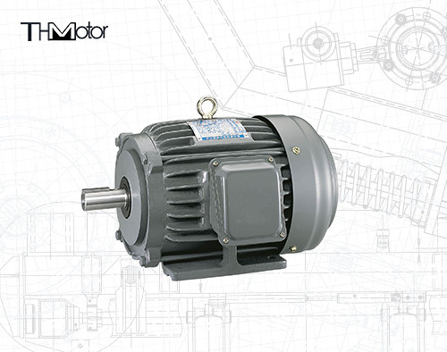 Motor de alto voltaje IP55 de la nema DC del NEP TEFC para los transportadores de los ventiladores