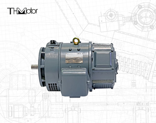 Motores de alto voltaje de la C.C. del motor 115v 220v z2 de DC de la serie del IEC Z2 del CE pequeños pequeños