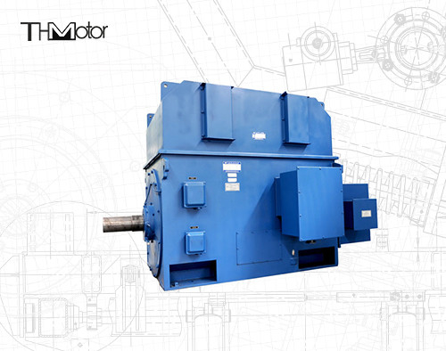 motor eléctrico ininflamable P44 asincrónico IP54 IP55 de 3000V 6000V 1500rpm