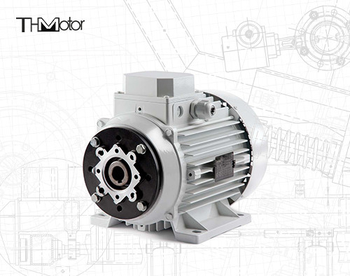 1000-12000kw 4/6 Polos Voltage DC Motor Eje hueco / Eje sólido para aplicaciones de trabajo pesado