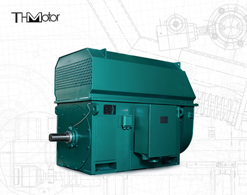 Motor eléctrico de alto voltaje IP44 IP54 de la CA del motor eléctrico 600kw 700kw 800KW 10000V 2978rpm de YKK