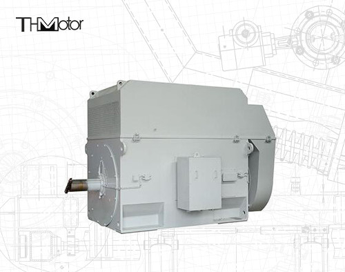 Motor de jaula de ardilla de 50 Hz con eje de 100 mm para una operación continua de 3000 RPM