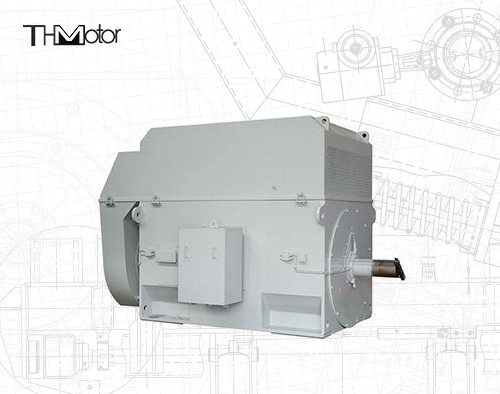 Motor de jaula de ardilla de 50 Hz con eje de 100 mm para una operación continua de 3000 RPM