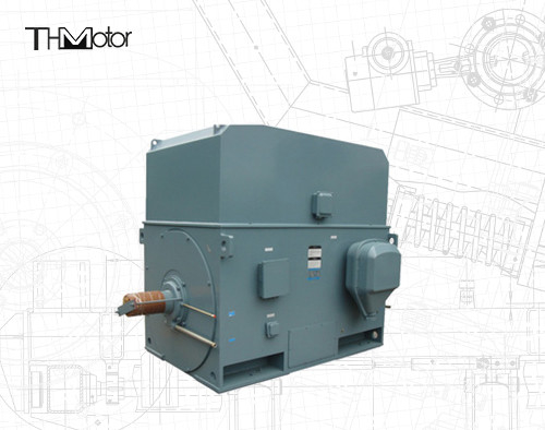 Motor eléctrico de jaula de ardilla industrial 3000RPM 1250KW 142A IP55 continuo S1