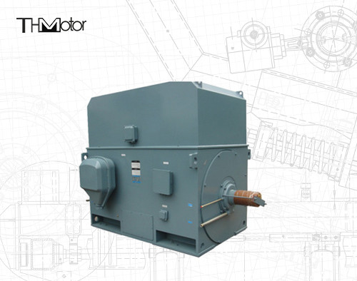 Motor eléctrico de jaula de ardilla industrial 3000RPM 1250KW 142A IP55 continuo S1