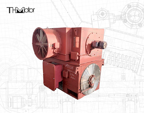 Motor síncrono trifásico IP44 del rotor de herida de la inducción de 6KV 10KV
