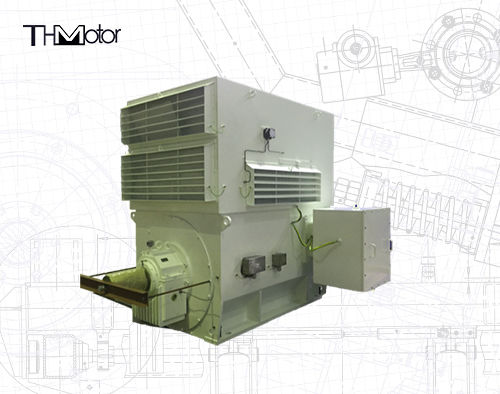Motores de inducción trifásicos de la serie WPII para uso industrial