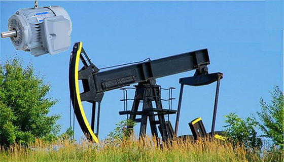 Motor de inducción del resbalón del alto esfuerzo de torsión superior de la nema alto IP55 para la bomba del pozo de petróleo