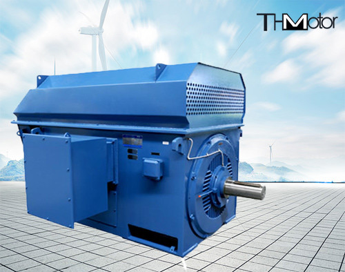 Y450-4 100rpm 3600rpm al resbalón Ring High Voltage Electric Motors 50hz 1000kw 6kv