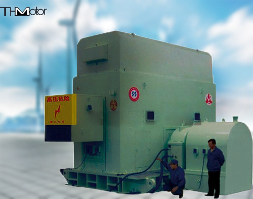 Motor síncrono IP44 IP54 IP55 de la CA del excitador sin cepillo 6300KW