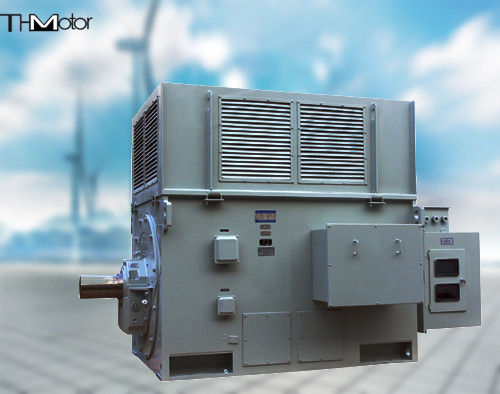 Motor síncrono trifásico IP44 del rotor de herida de la inducción de 6KV 10KV