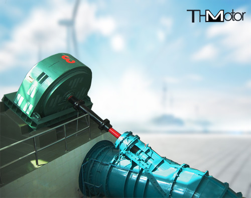 Motor síncrono sin cepillo 11kv de la CA del molino 3ph de la explotación minera del gran escala de TXZ