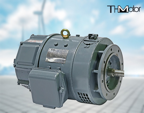 Motores de alto voltaje de la C.C. del motor 115v 220v z2 de DC de la serie del IEC Z2 del CE pequeños pequeños