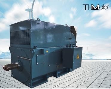 La ardilla grande de Y800 6000kw enjaula el minuto de alto voltaje IP54 de los motores eléctricos 1500r/