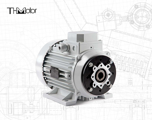 1000-12000kw 4/6 Polos Voltage DC Motor Eje hueco / Eje sólido para aplicaciones de trabajo pesado