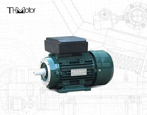 Motor eléctrico ininflamable IP55 IP65 del rotor herido IC611
