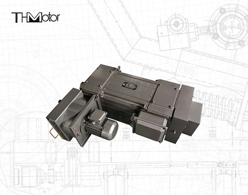 Motor de servoacción asíncrono de la serie YPT IP23 IC06